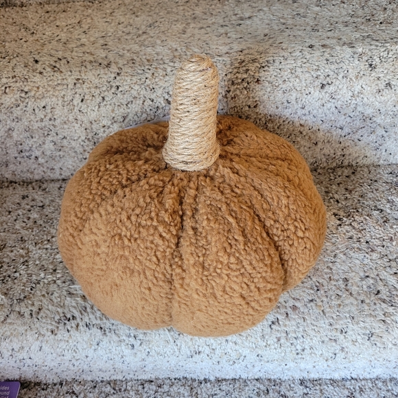 Large Sherpa Pumpkin - Picture 2 of 3